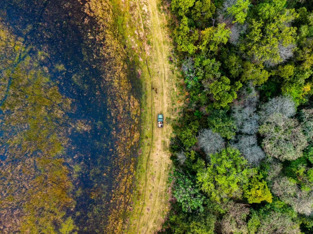Southern Pantanal