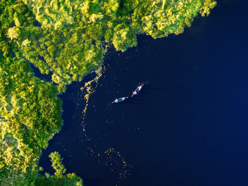Aerial view of two canoes paddling on a dark river surrounded by lush green wetlands in the Pantanal.
