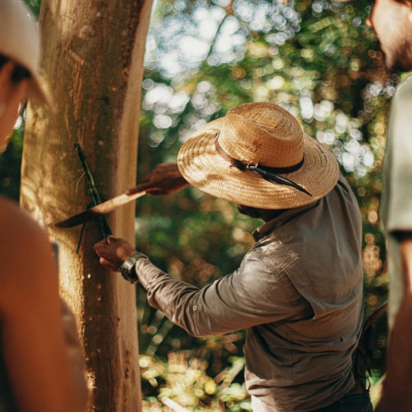 A local guide in a straw hat demonstrates forest skills on a tree trunk to guests during a Pantanal luxury safari hiking tour.
