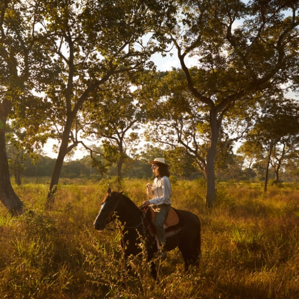 A guest rides a dark horse through a golden field dotted with trees during a late afternoon excursion.