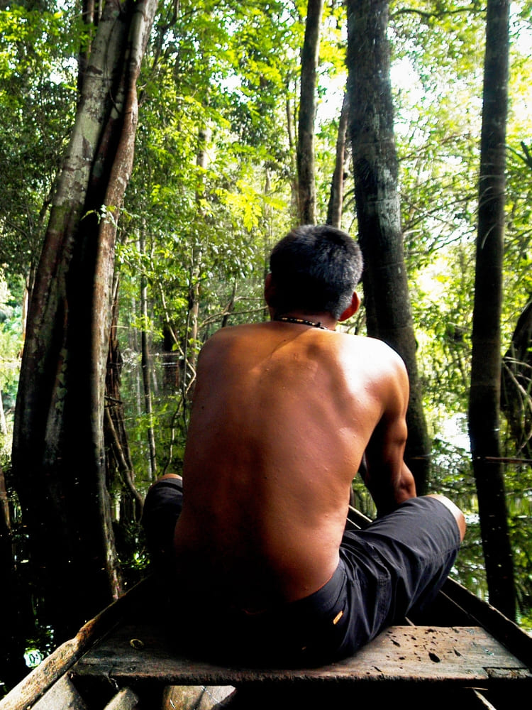 A guide sitting at the bow of a wooden canoe navigating through dense trees in the flooded forest.