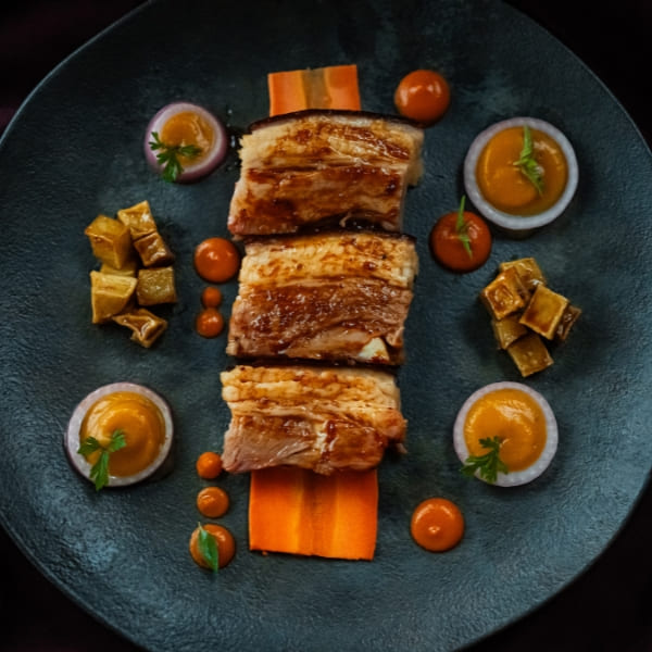 A gourmet dish of sliced meat with colorful purees and vegetables served during a luxury Amazon river cruise in Brazil.