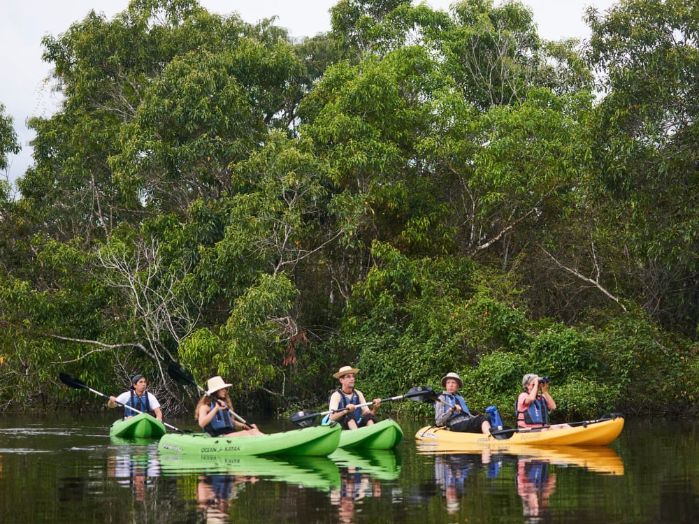 A group of tourists paddling kayaks along a peaceful river surrounded by dense Amazonian vegetation.