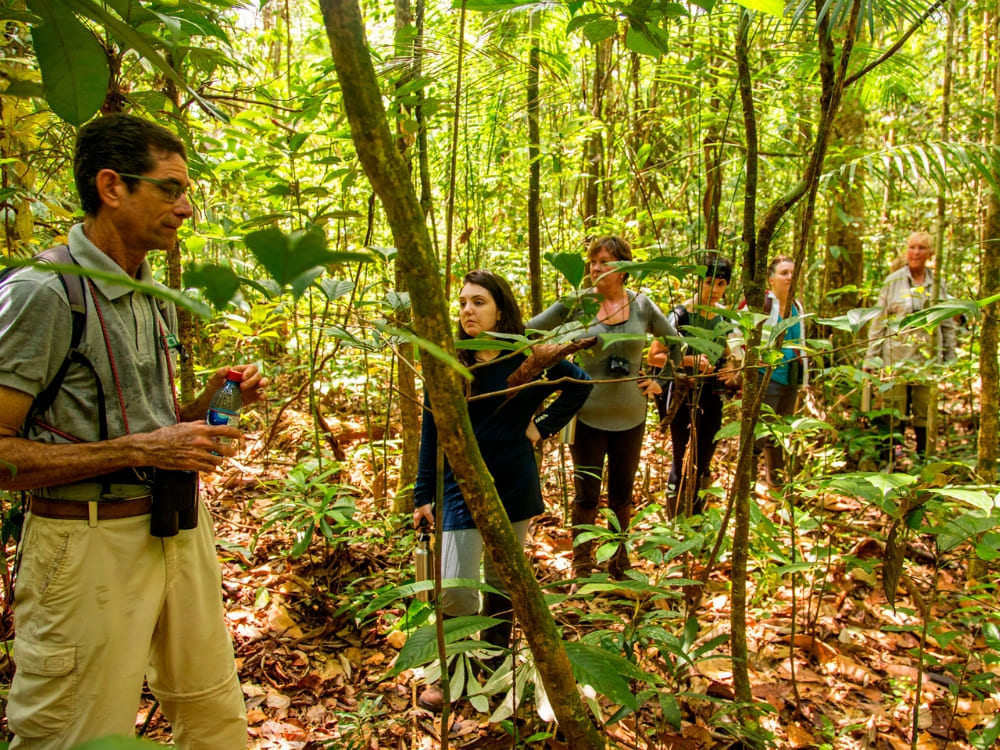 A bilingual guide leading a group of travelers through dense foliage during a solid ground forest hike.