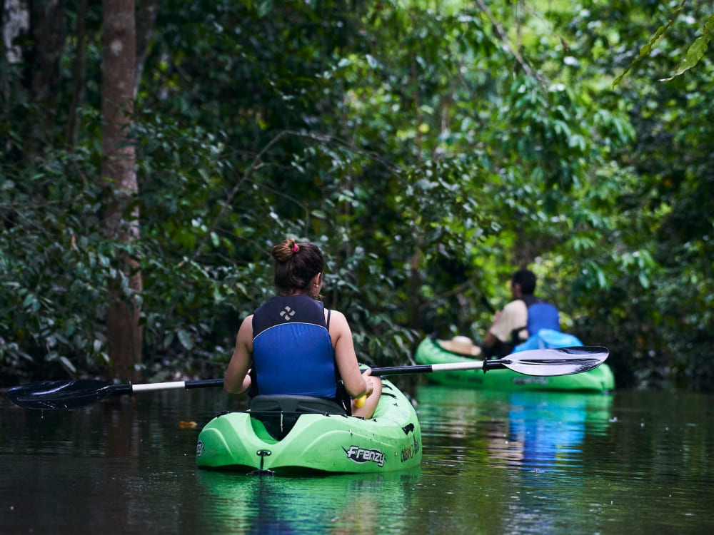 Two travelers kayaking through a lush green flooded forest during a Brazil Amazon river cruise.