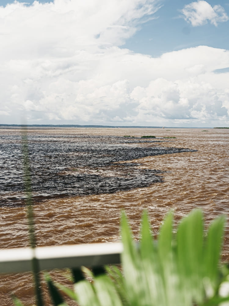The Meeting of Waters phenomenon where the dark Negro River flows side by side with the Solimões' muddy waters without mixing.
