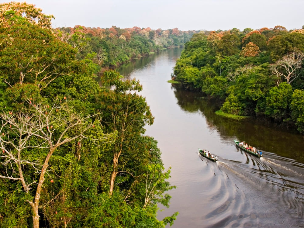 Two motorized canoes carrying passengers along a winding river deep in the remote Amazon rainforest.
