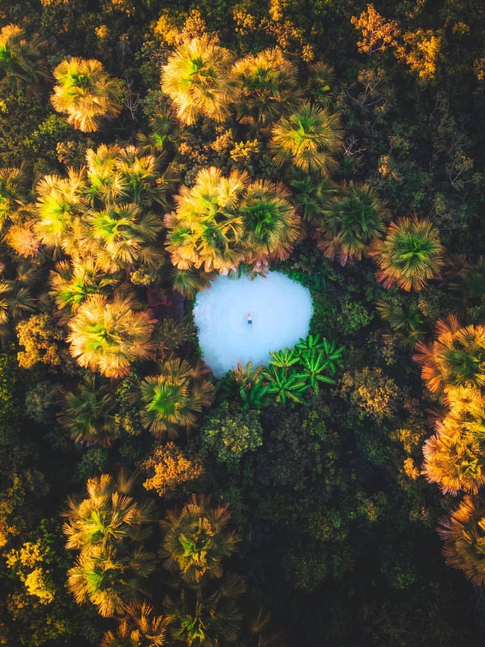 Guia de viagem Parque Estadual do Jalapão, Brasil