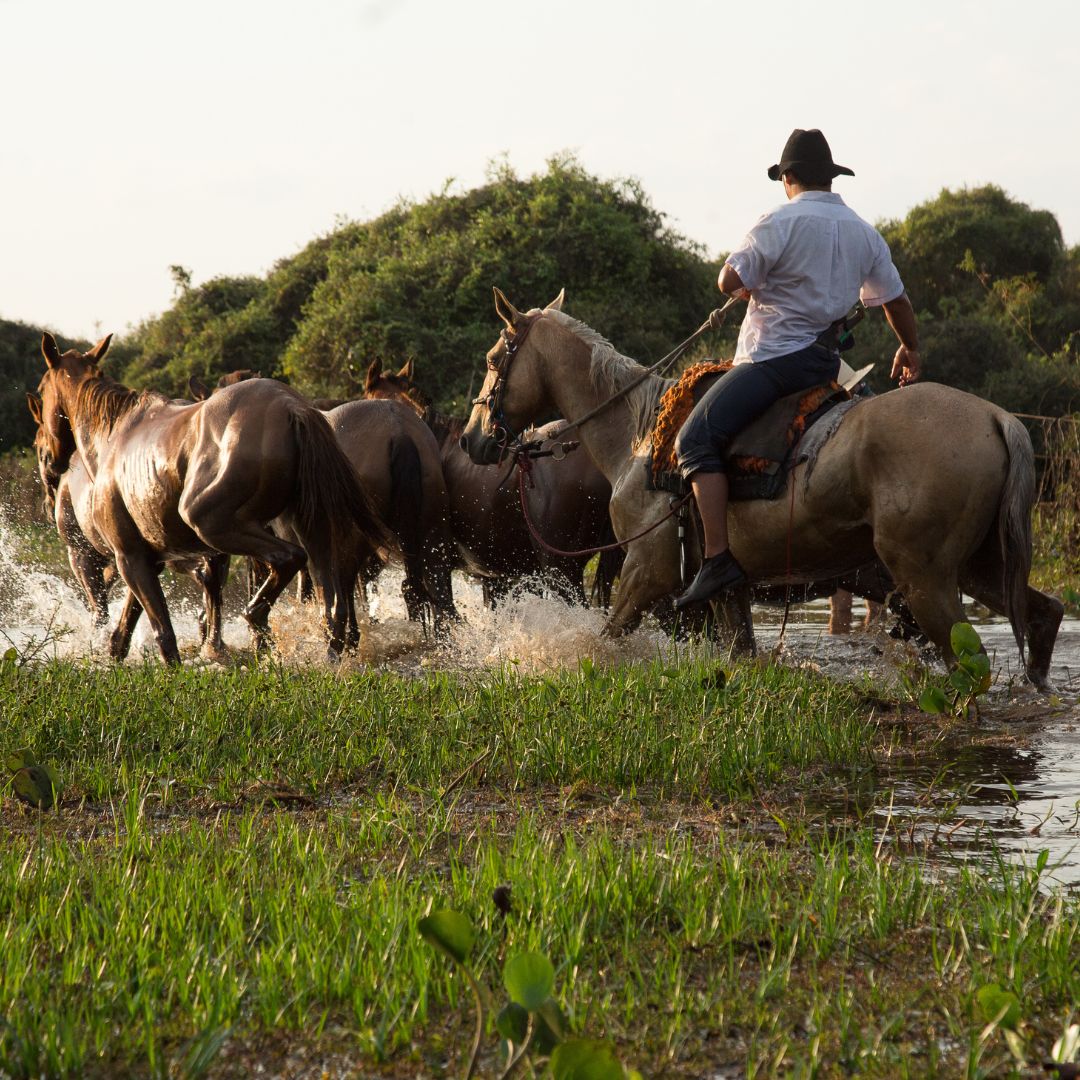 Wo kann man in Pantanal Brasilien übernachten?