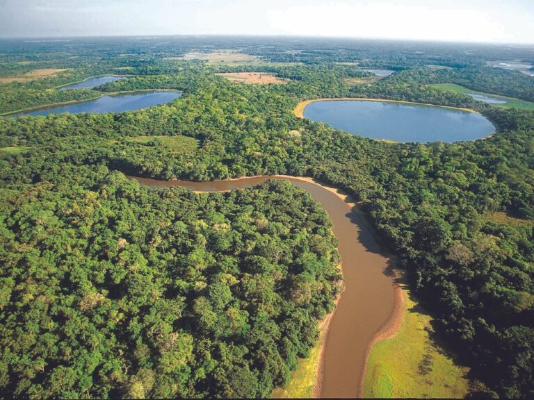 Pantanal Brazil Travel Guide PlanetaEXO pantanal-brazil-travel-guide-planetaexo