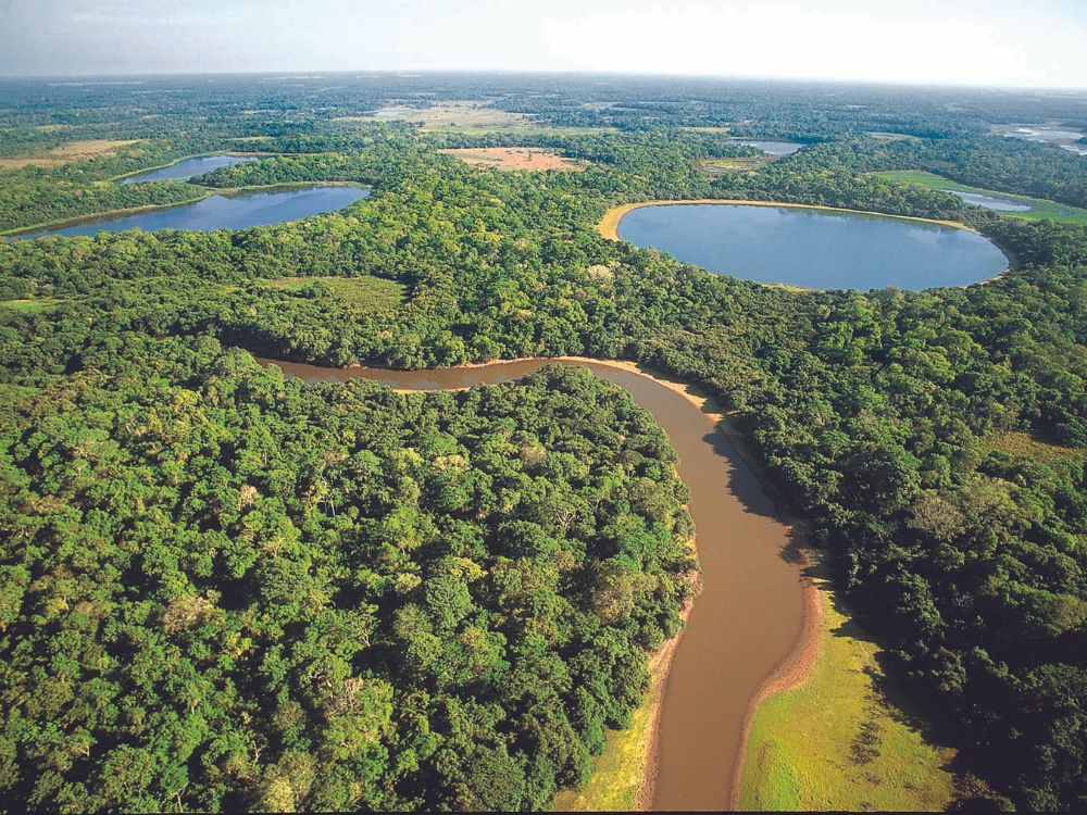 Pantanal Brasilien Reiseführer