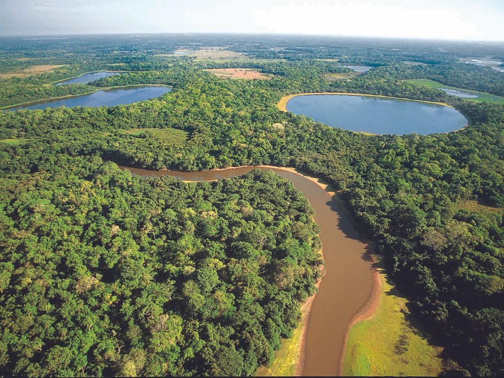 Pantanal Brazil Travel Guide PlanetaEXO Pantanal Brazil Travel Guide PlanetaEXO