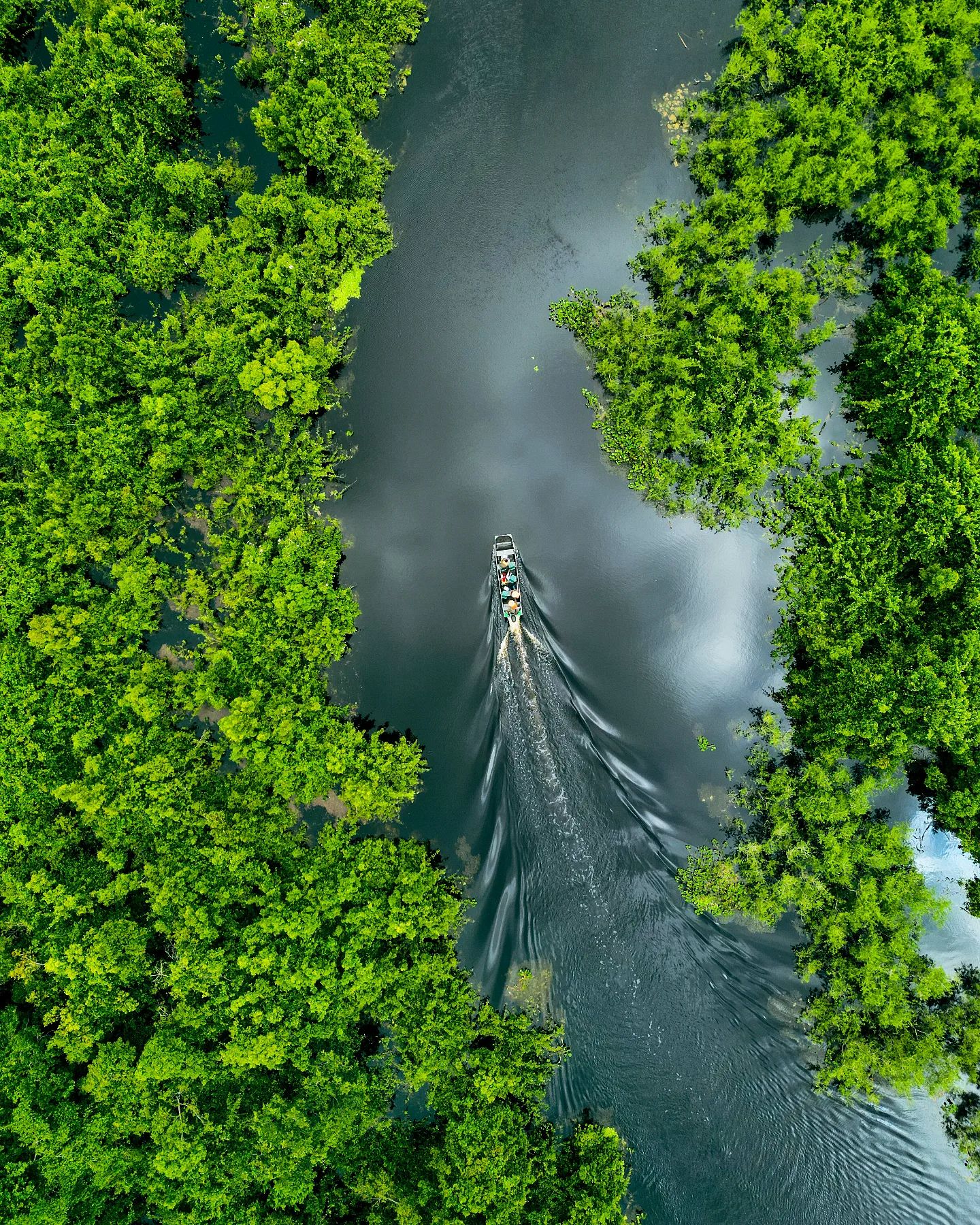 Pantanal Nasszeit (November und Dezember)