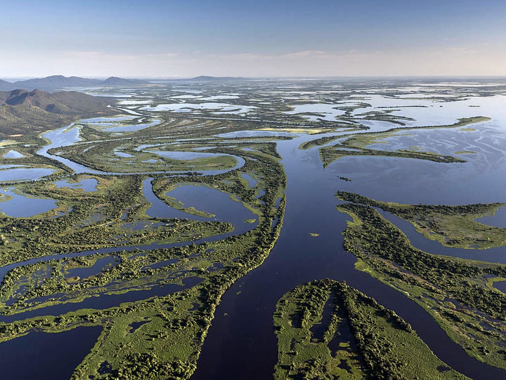 Estação das Chuvas do Pantanal (novembro e dezembro) 