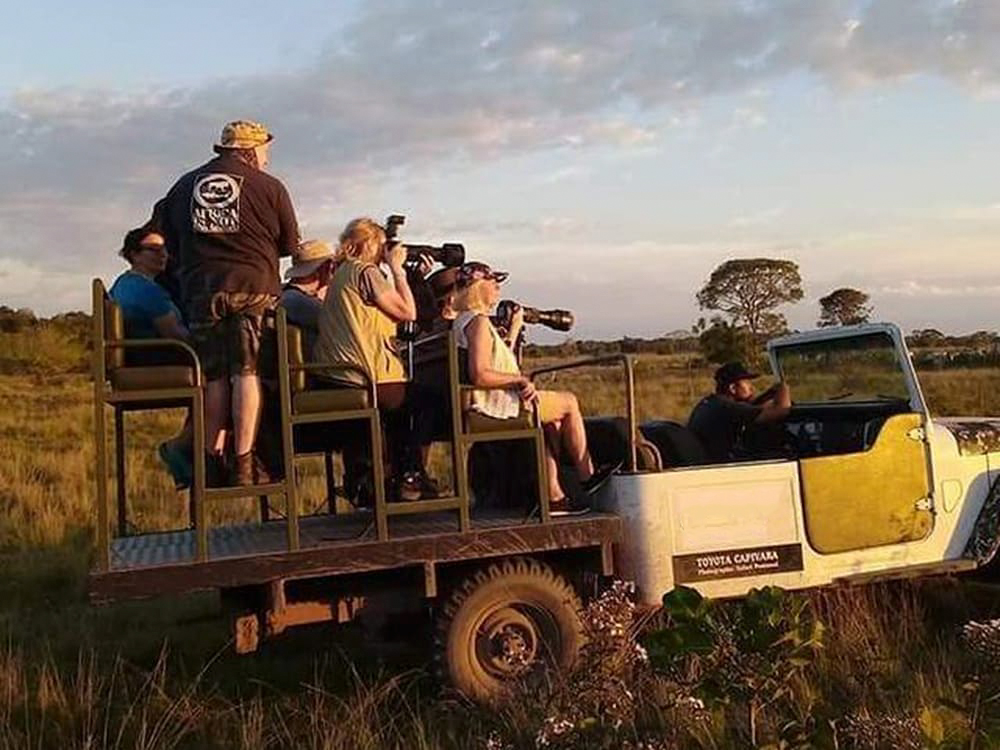 pantanal guided tour
