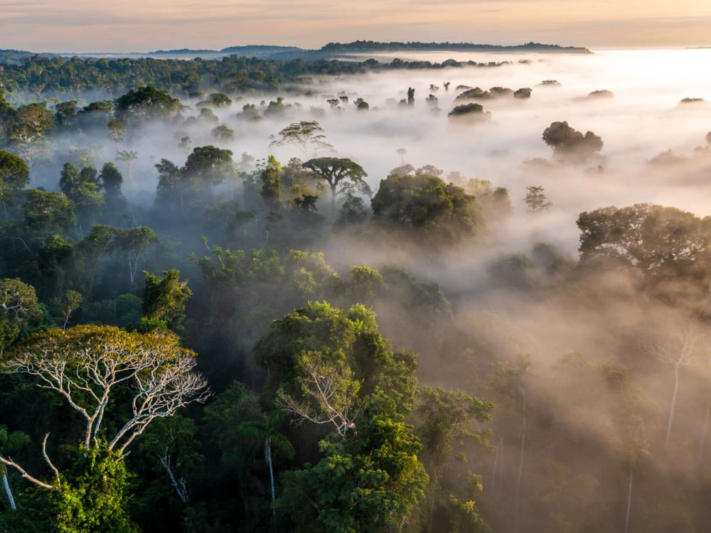 How to visit the Amazon Rainforest - Cristalino National Reserve