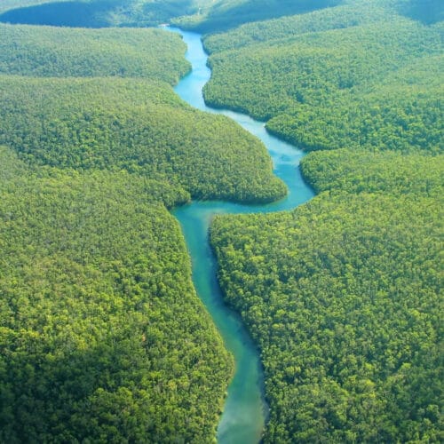 Amazon Rainforest Brazil
