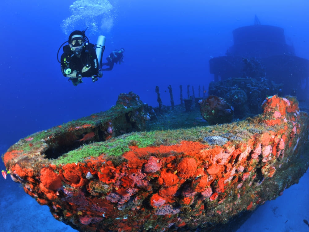 How much it cost - Fernando de Noronha Diving Guide