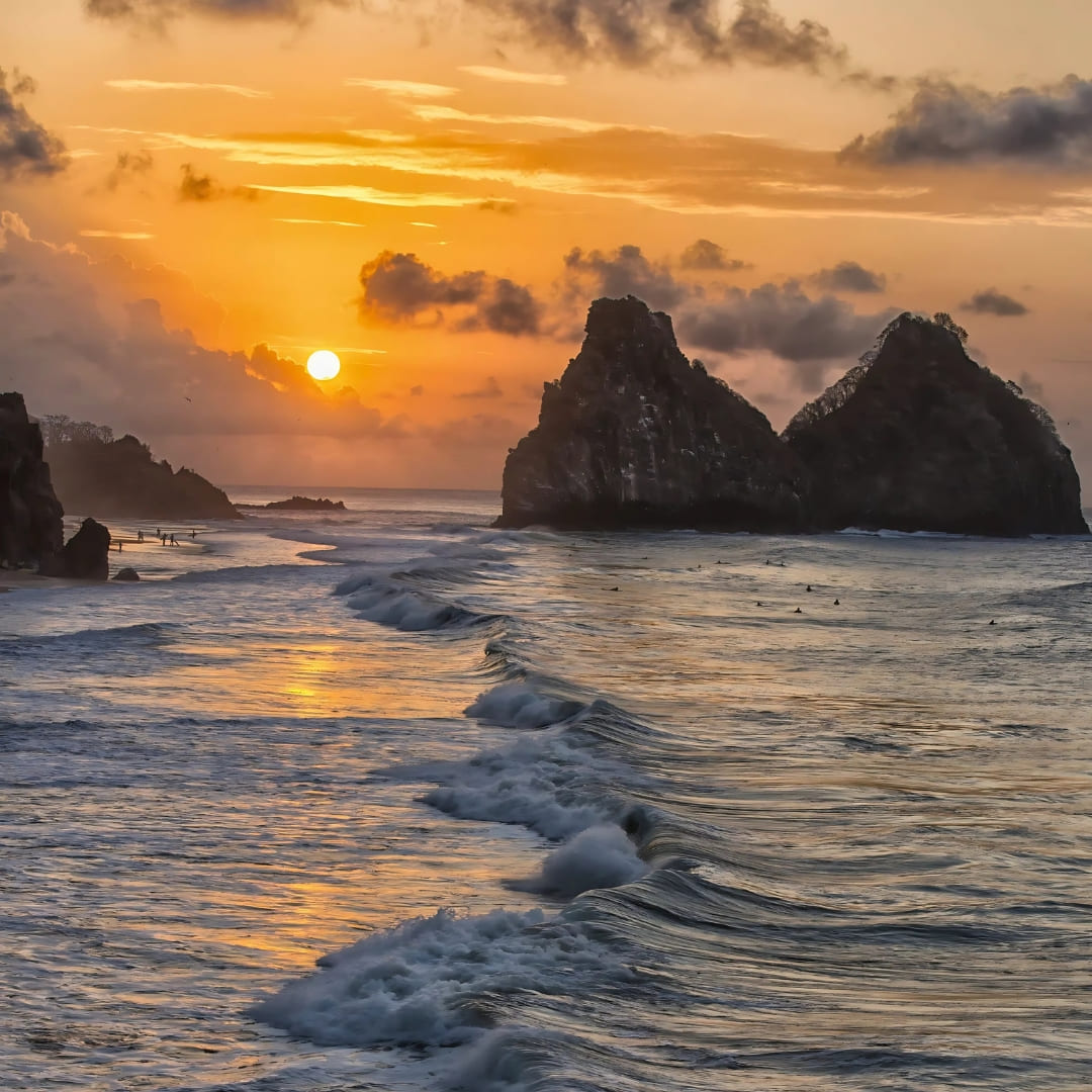 Noronha Diving Guide 