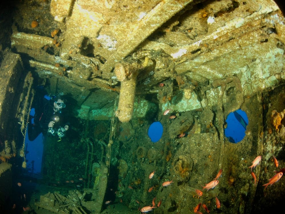 fernando de noronha