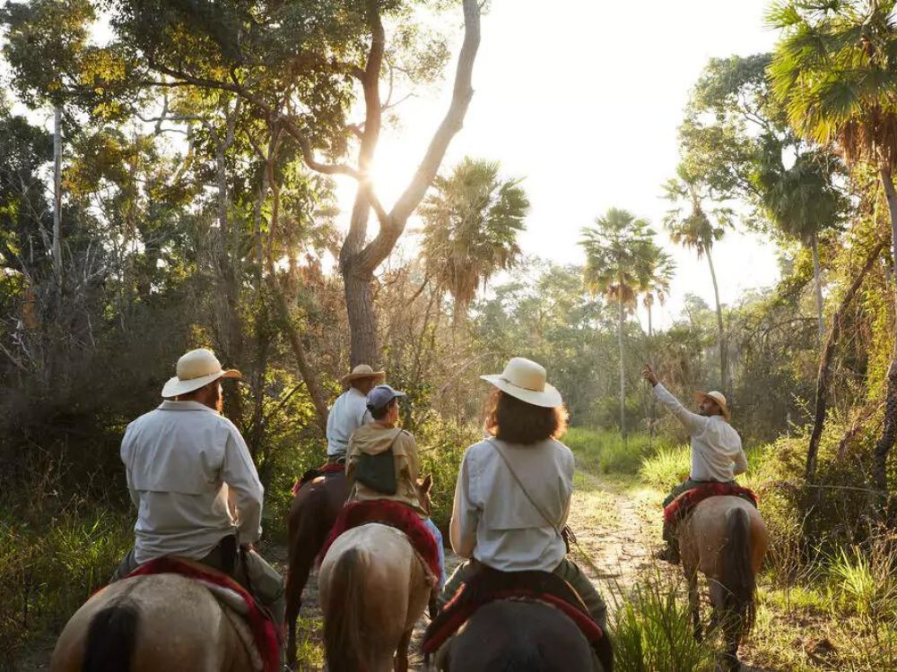 What are the sightings like in the southern Pantanal