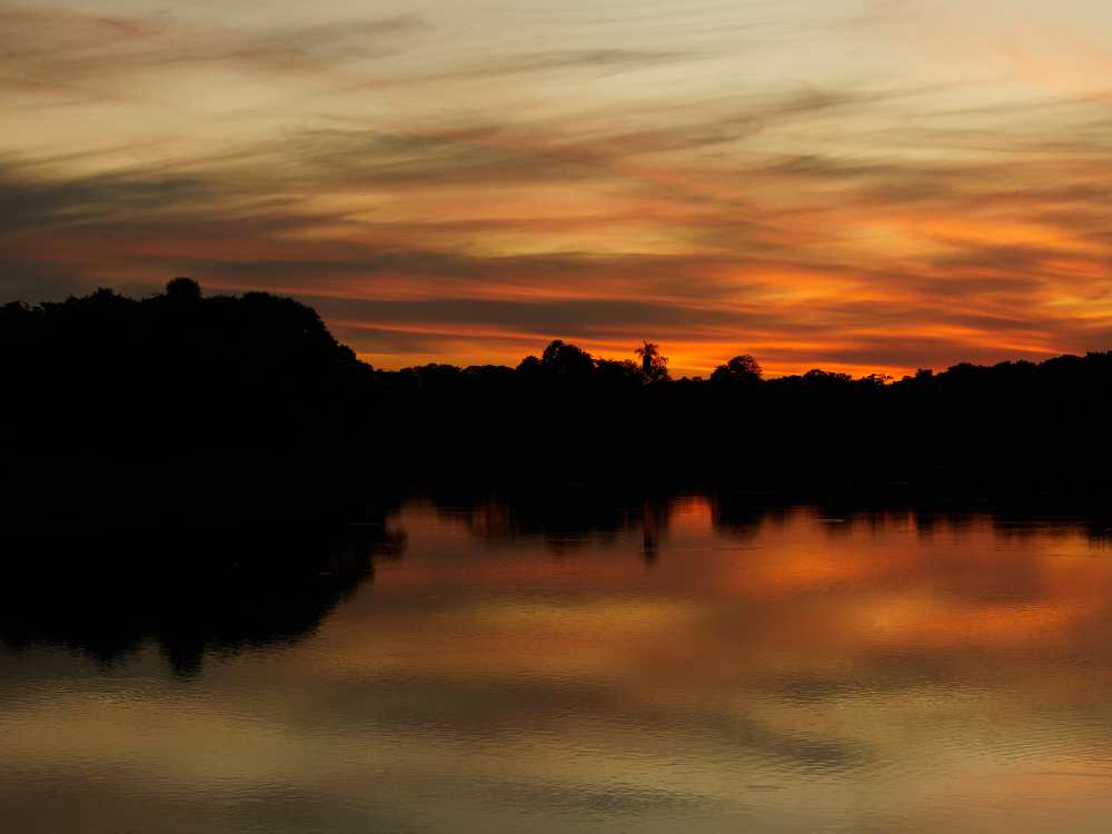 Pantanal Nasszeit (Dezember bis März)