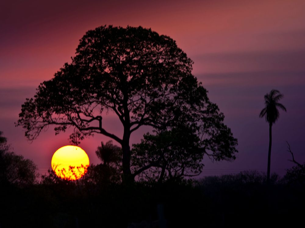 Pantanal Trockenzeit (Juli bis Oktober)