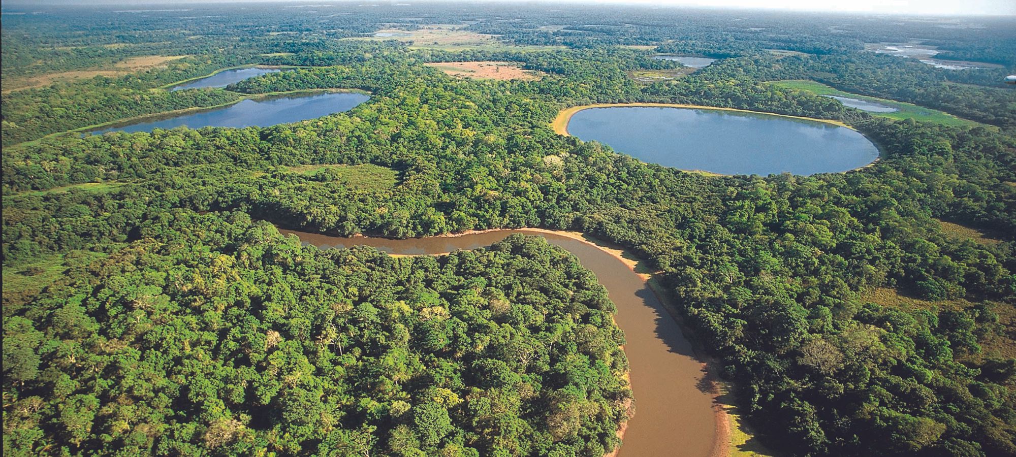 Qual é a melhor época para visitar o Pantanal?