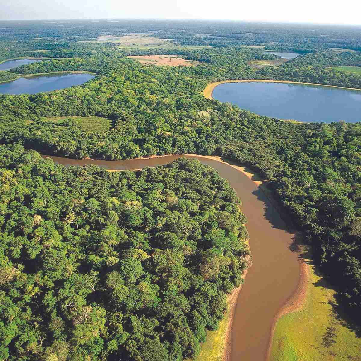 When Is The Best Time To Visit The Pantanal PlanetaEXO when-is-the-best-time-to-visit-the-pantanal-planetaexo