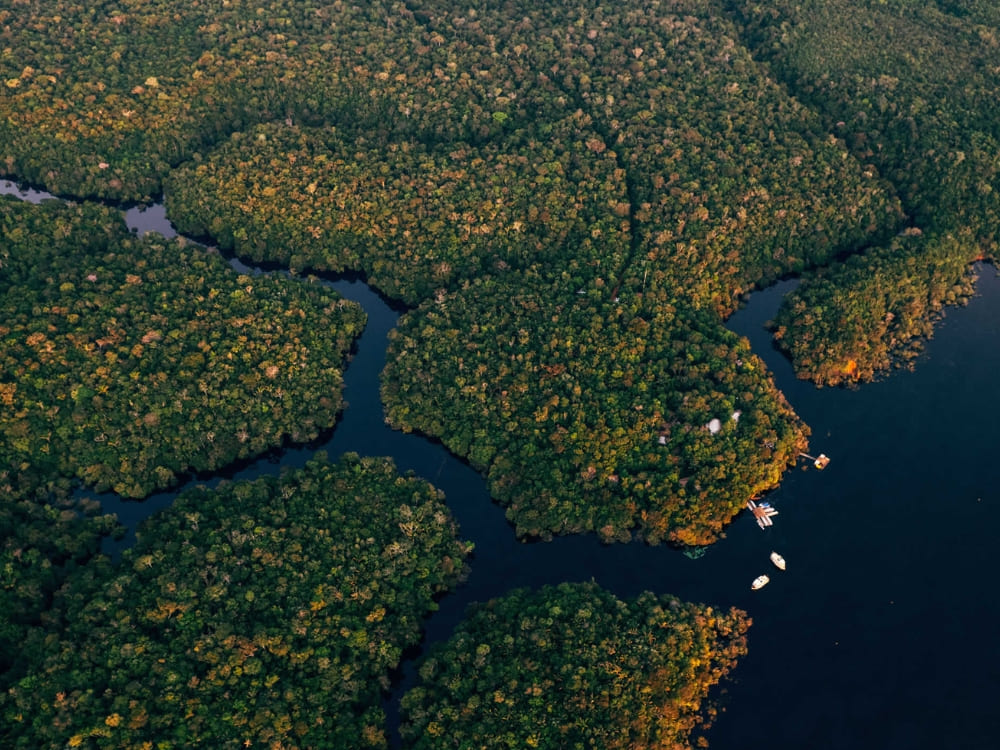 Meilleurs lodges de l'Amazonie