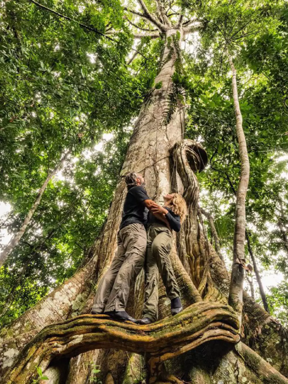 Connect with nature: Best tours on the Amazon from the USA