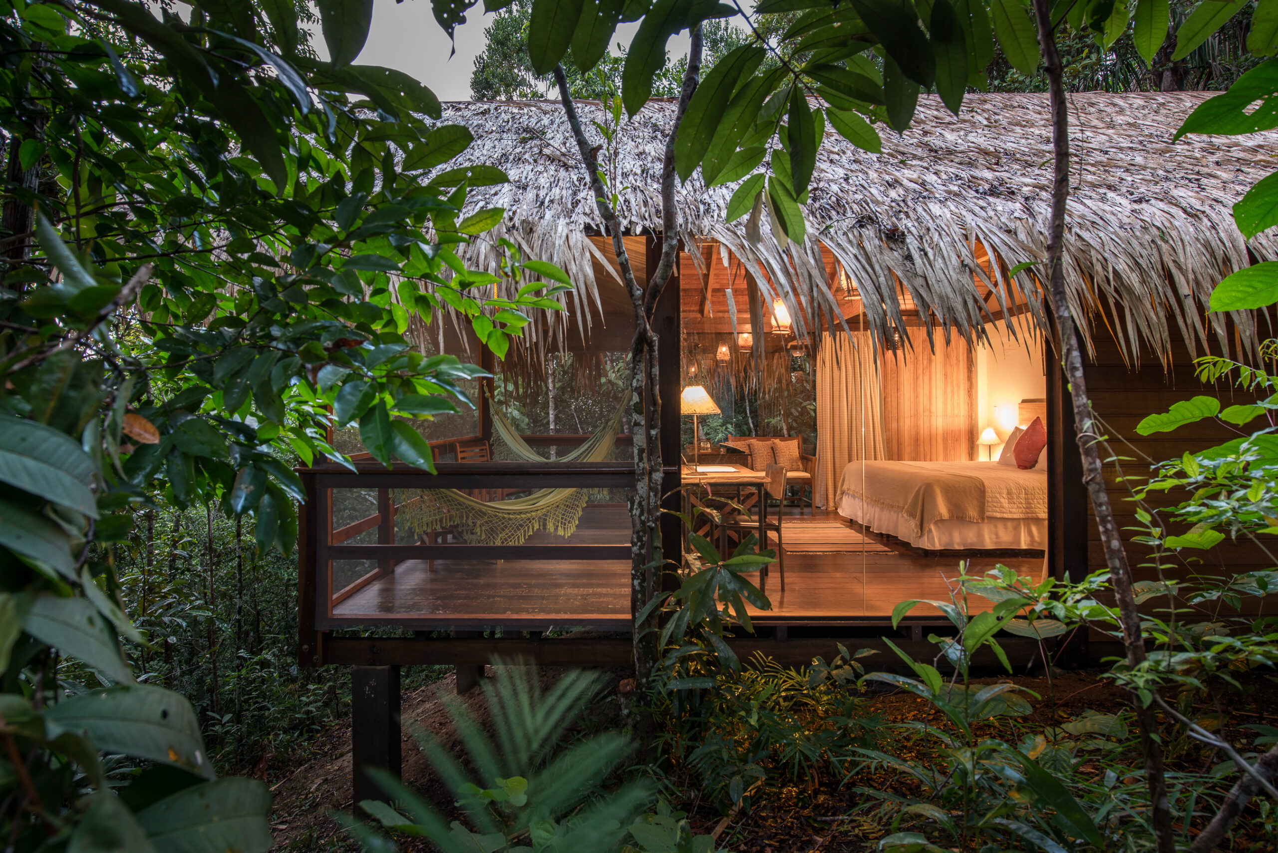 Amazon Immersion in special lodges