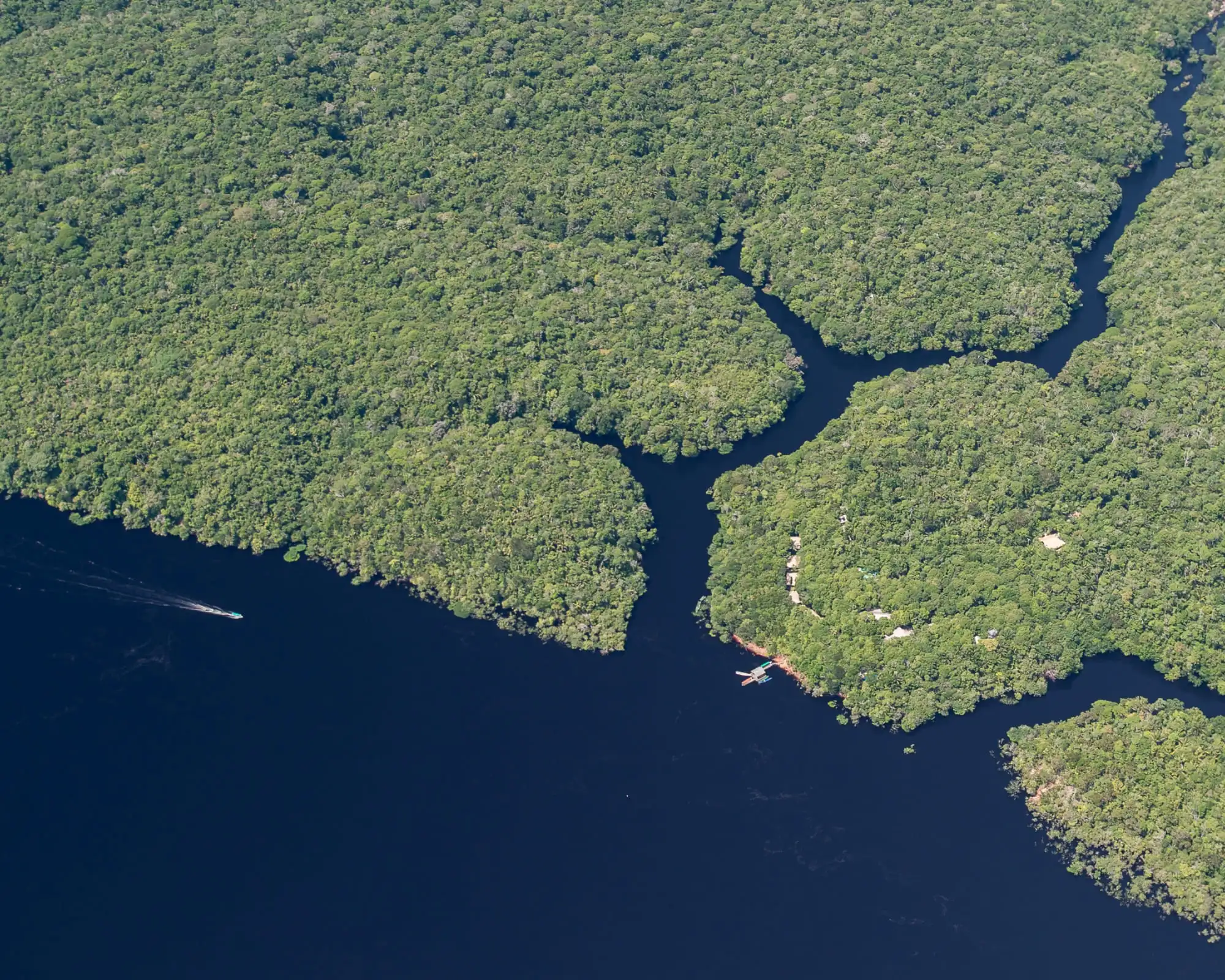 Amazon Rainforest Trip from the USA