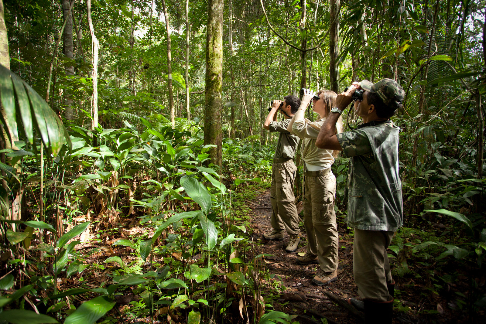 What to do in the Amazon Rainforest in Brazil