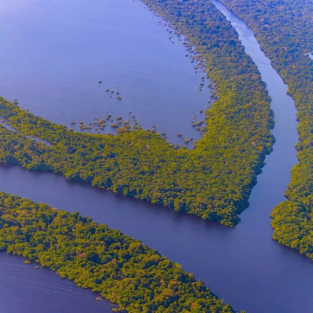 Amazon Rainforest trip from the USA