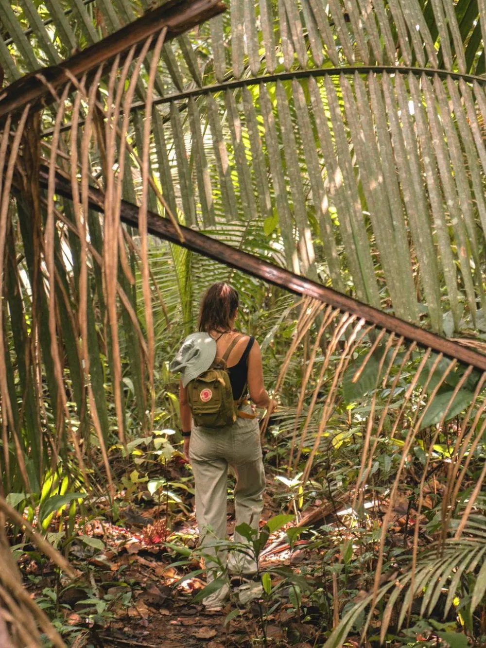 What to do in the Amazon Rainforest