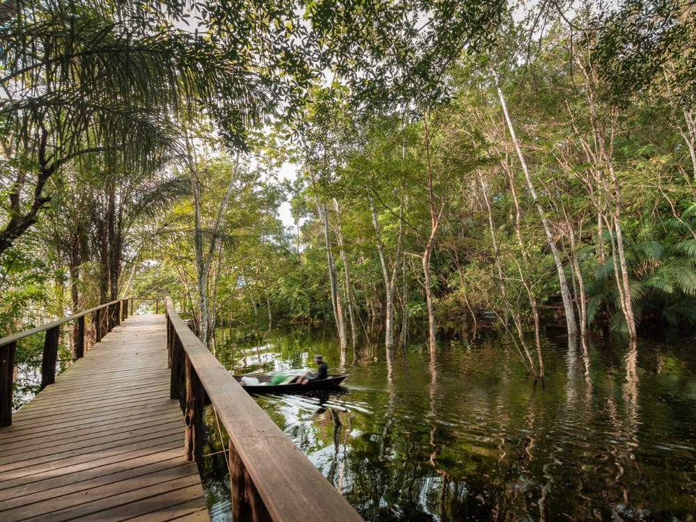 Best Amazon Jungle Lodges: Mirante do Gavião 