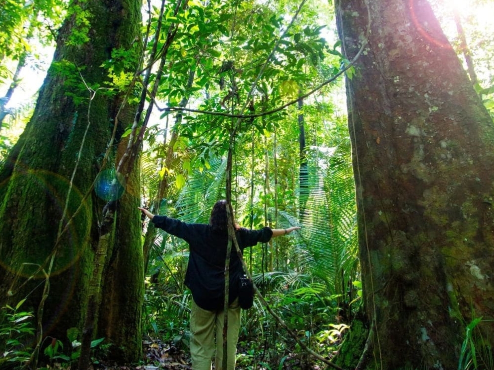 Best Amazon Jungle Lodges: Amazon Turtle Lodge