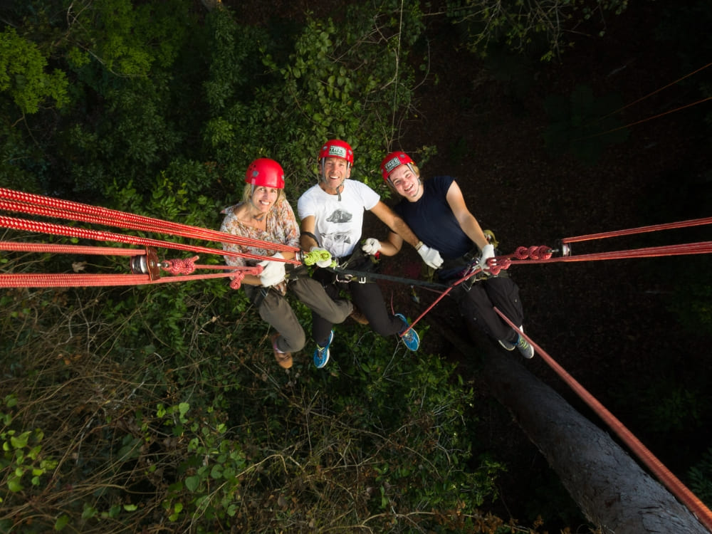 Tree climbing - How to visit the Amazon Rainforest in Brazil