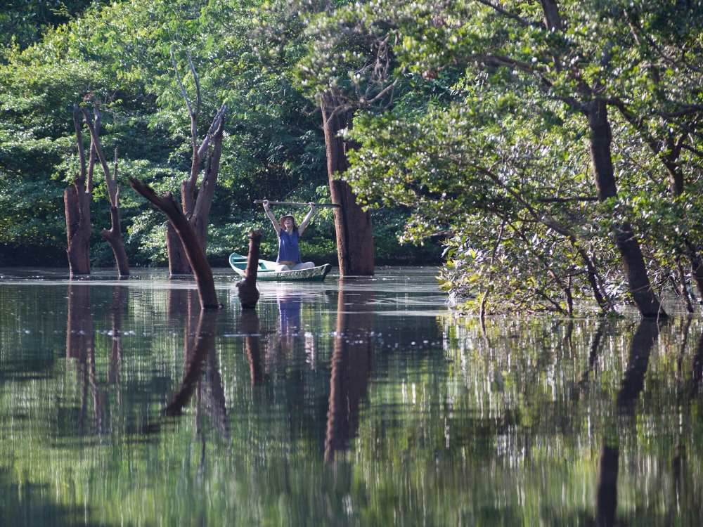 Canoeing along the flooded forest in the Amazon