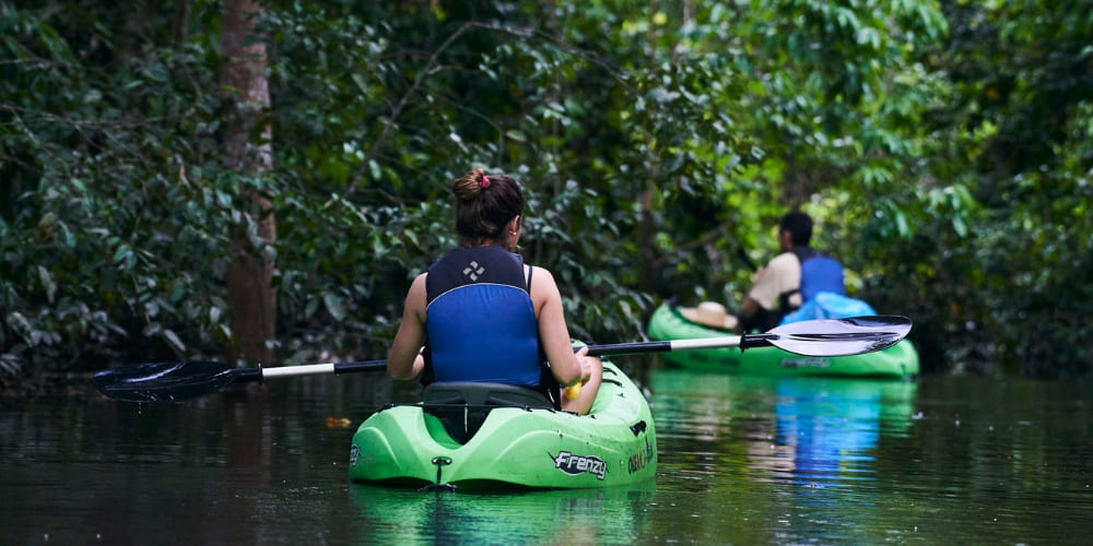 Two tourists paddle green kayaks through a narrow, calm river channel surrounded by dense tropical foliage.