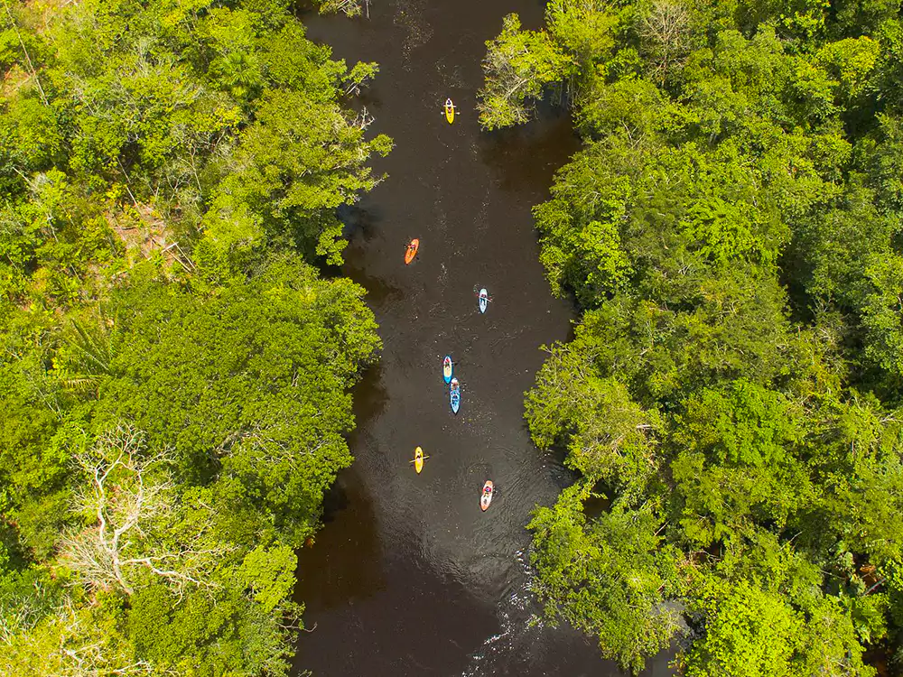 Activités à faire dans la forêt amazonienne au Brésil: Tour en Kayak sur la Rivière Urubu