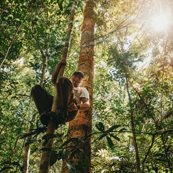 A smiling local guide climbs a tall tree in the Amazon rainforest using a traditional foot-loop technique as sunlight filters through the canopy.
