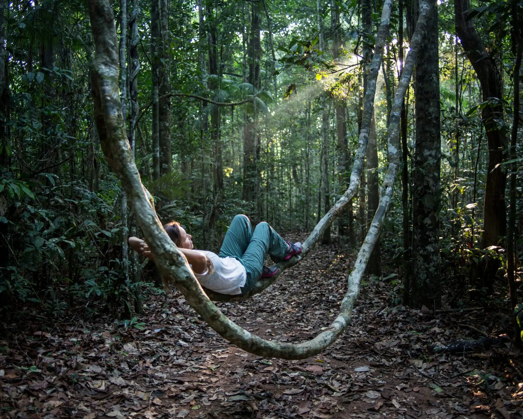 Die besten Aktivitäten im Amazonas-Regenwald Brasilien