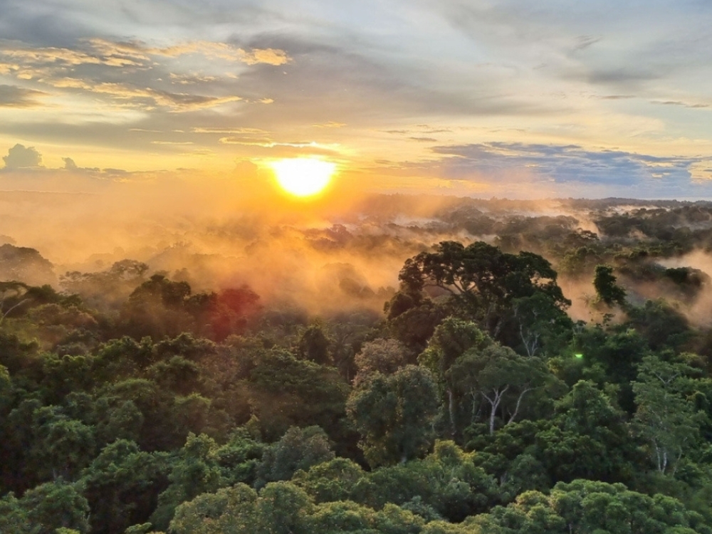 Cristalino National Ecological Reserve