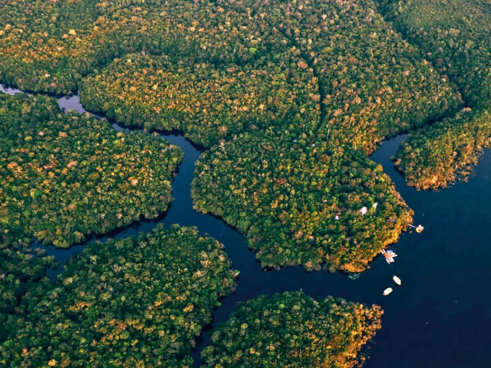 Best time to visit the Amazon in Brazil