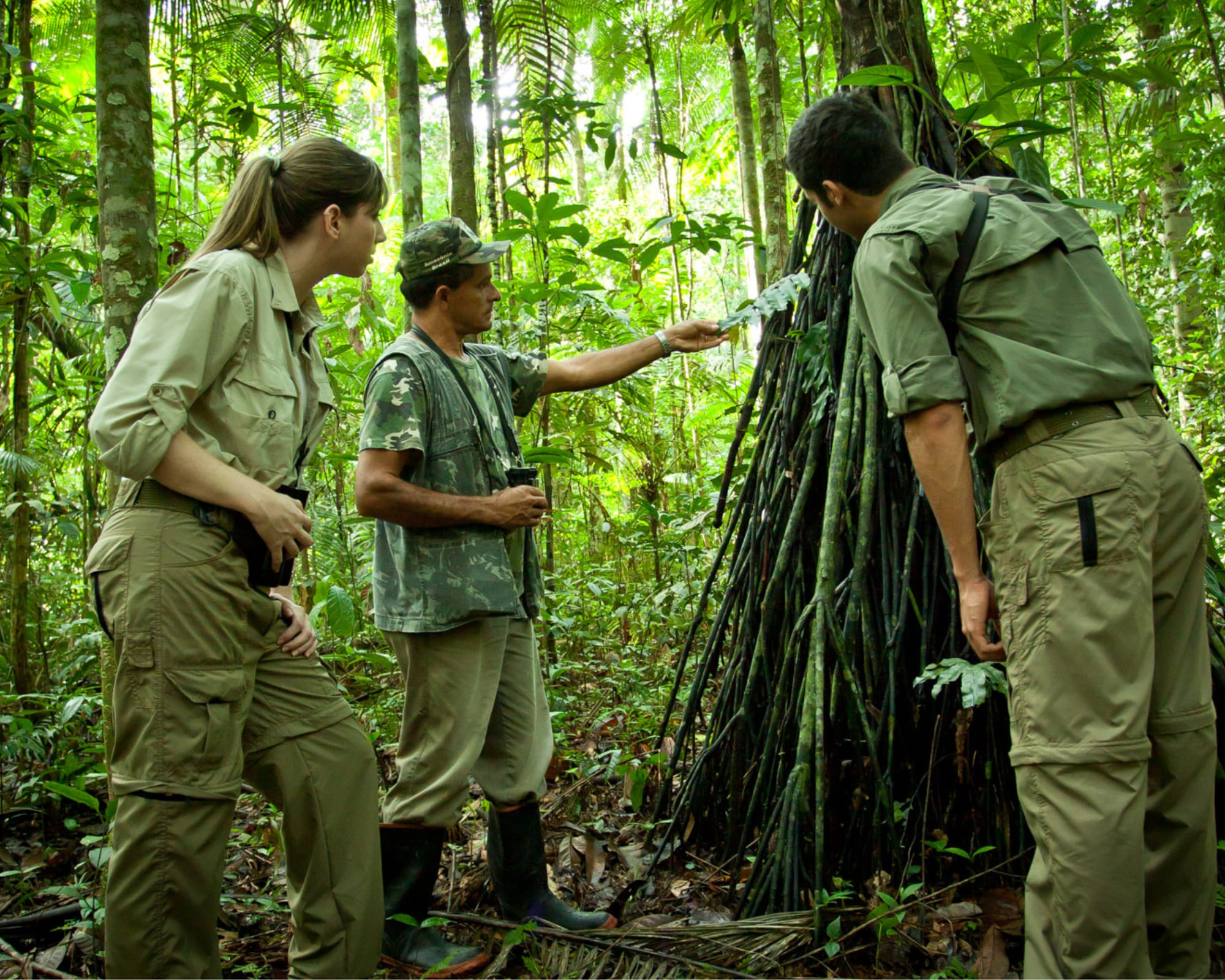 How to visit the Amazon Rainforest in Brazil