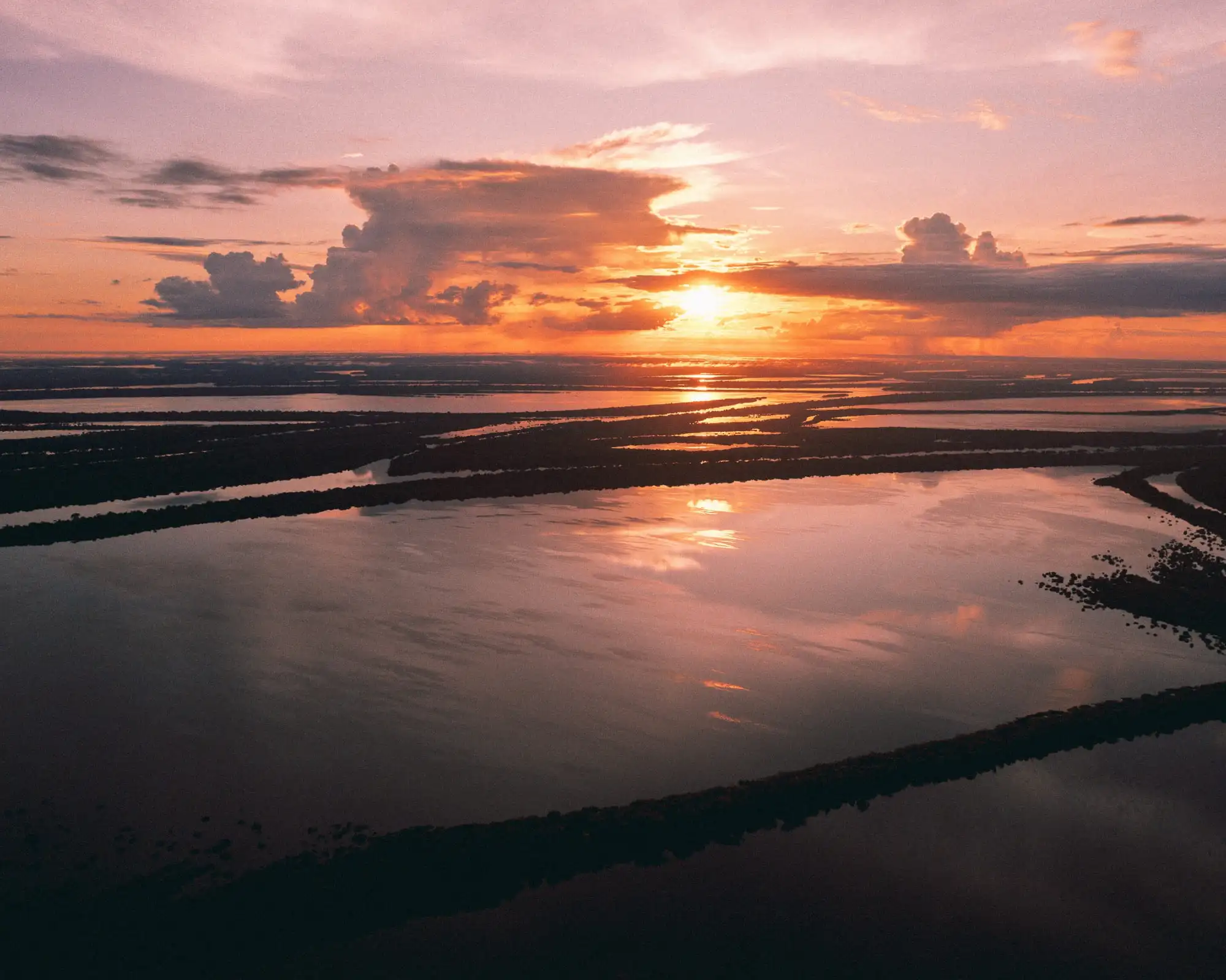 Best time to visit the Amazon Rainforest in Brazil