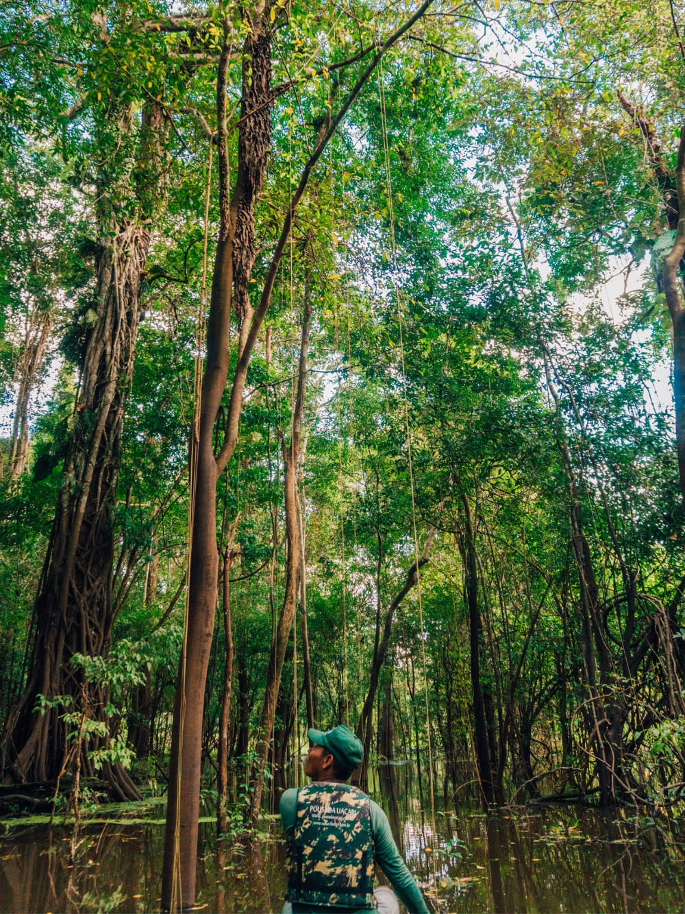 15 Fakten über den Amazonas-Regenwald - Amazonas-Niederschläge