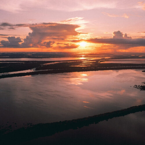 Best time to visit the Amazon in Brazil